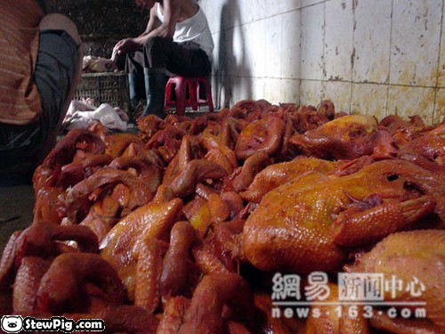 chickens in china 10
